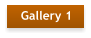 Gallery 1