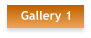 Gallery 1
