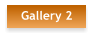 Gallery 2