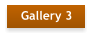 Gallery 3