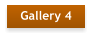 Gallery 4