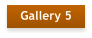 Gallery 5