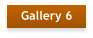 Gallery 6