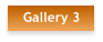 Gallery 3