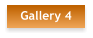 Gallery 4