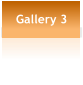 Gallery 3
